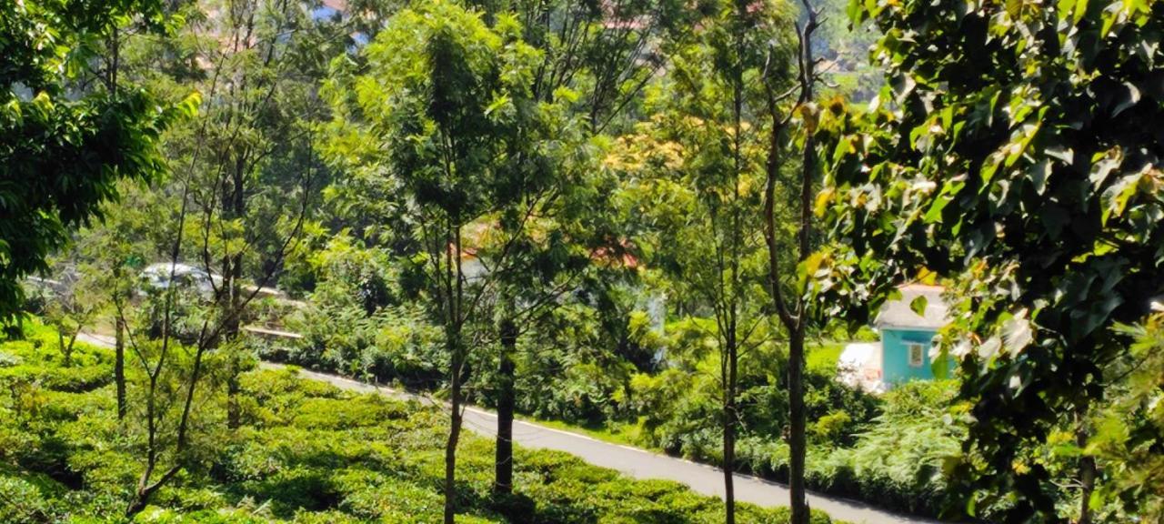 Adithya Sunrise View Cottage コタジリ エクステリア 写真